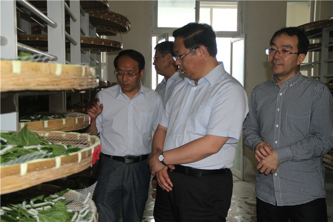 王正喜调研江宁G13地块和凯发蚕种公司