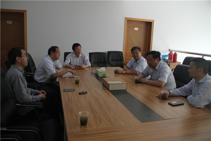 王正喜调研江宁G13地块和凯发蚕种公司