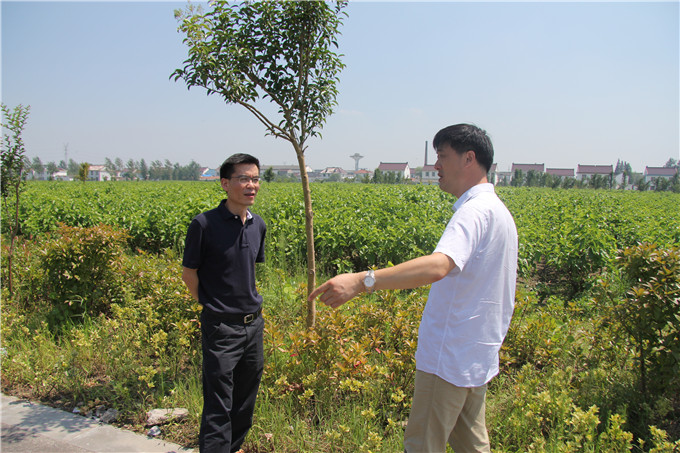 凯发股份深入开展“三严三实”专题调研